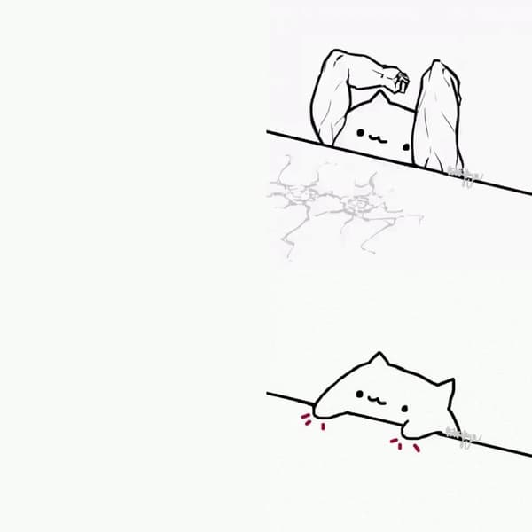 Bongo Cat meme template