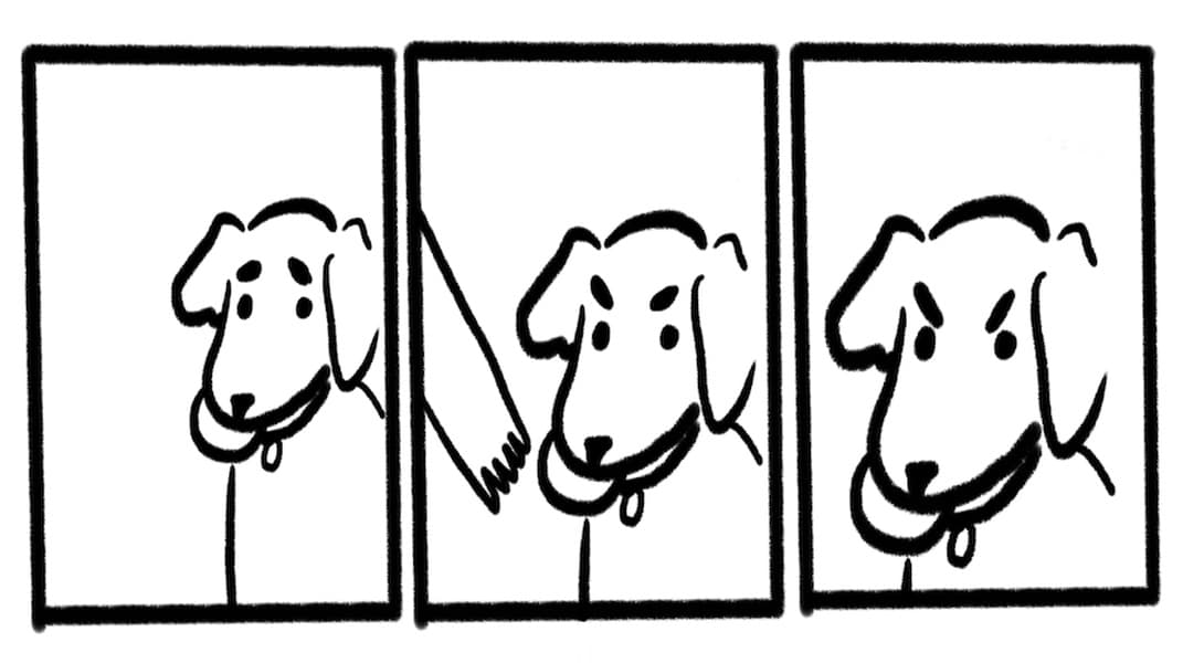 No Take, Only Throw meme template